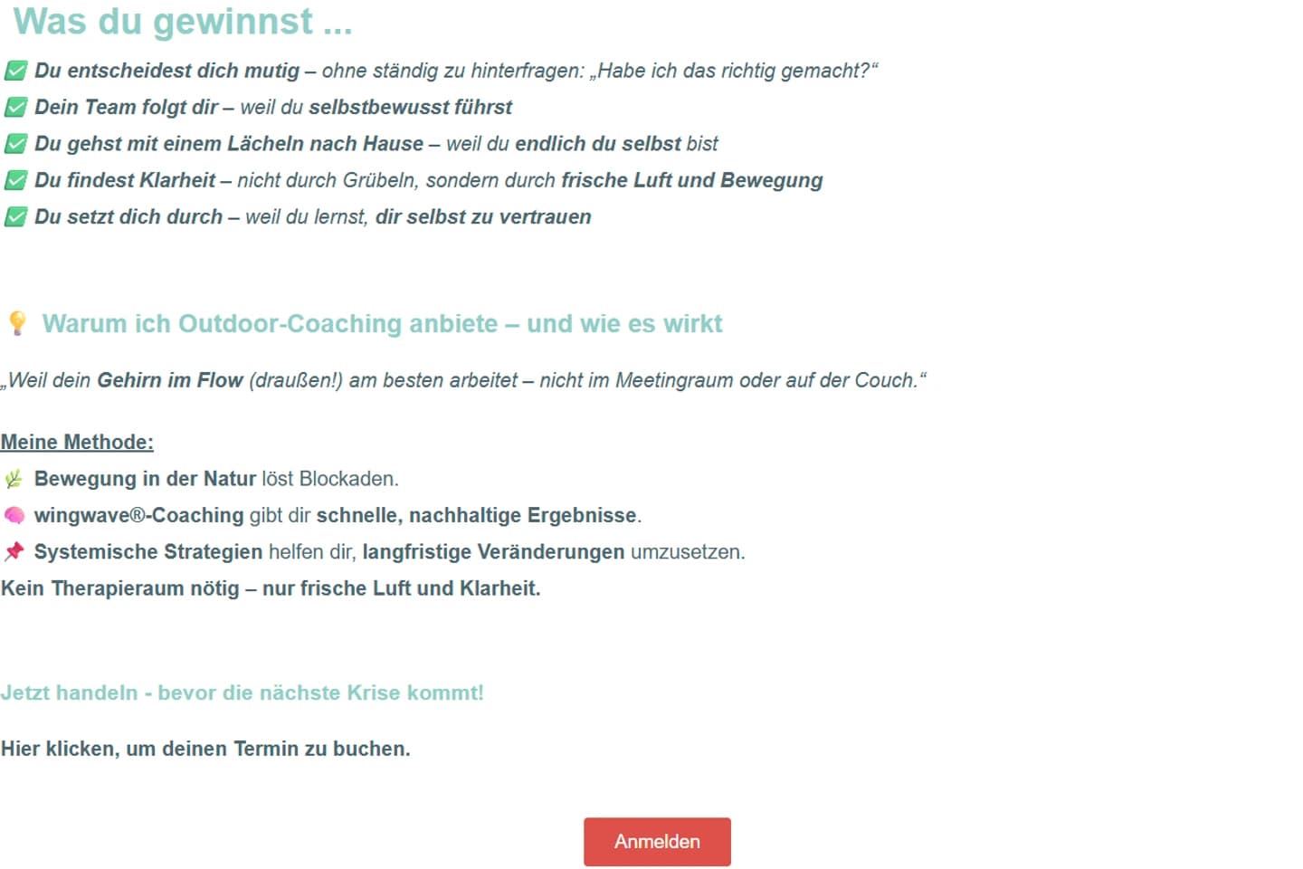 Alte Website von HOCH³ Coaching: eine lange Textliste mit Häkchen-Emojis, ganz unten ein einzelner Anmelde-Knopf.